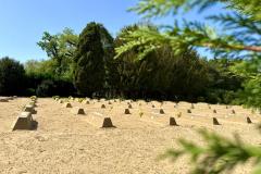 IMG-20250408-WA0015