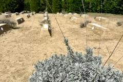 IMG-20250408-WA0021