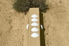 IMG-20250408-WA0022