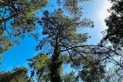 IMG-20250408-WA0032
